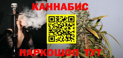 тгк Новозыбков